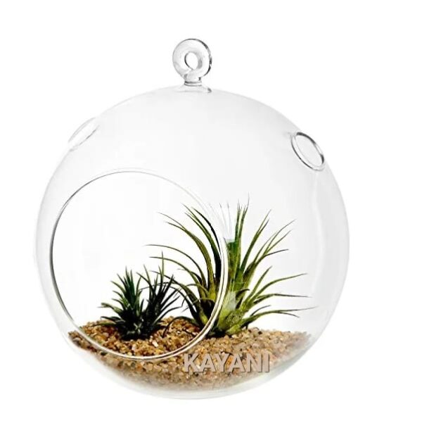 Big Round Glass Pot