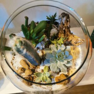 Terrarium