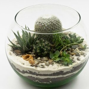 Terrarium