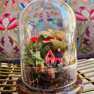 Terrarium Glass Jar 12x17 cm