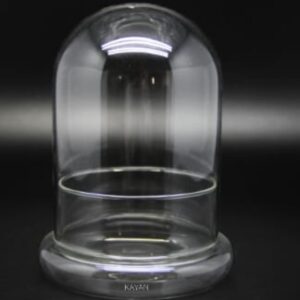 Glass Plant Terrarium