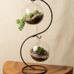 Round Glass Vase with Small Plants