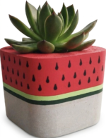 Round Painted Pot - Image 2