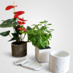 Round Painted Pot