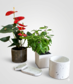 Round Painted Pot