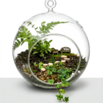 Small Glass Jar Pot