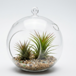 Customizable Hanging Glass Flower Vase