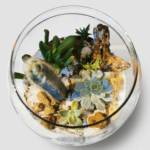 Terrarium
