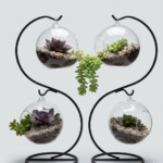 Round Glass Vase with Small Plants