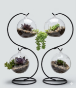 Round Glass Vase with Small Plants