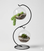 Round Glass Vase with Small Plants - Image 2