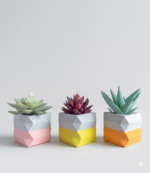 Small Round Planter with Cactus - Image 2