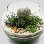 Terrarium