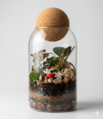 Terrarium Glass Jar 12×17 cm - Image 3