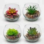 Succulents and Cacti in Glass Vessels – Sabre