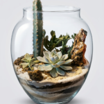Terrarium