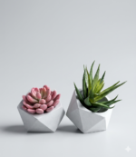 Small Round Planter with Cactus