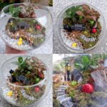 Terrarium